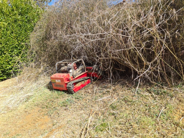 Alpenmäh PMK 1200 Ferngesteuerter Y Schlegelmulcher mit Hybrid Antrieb